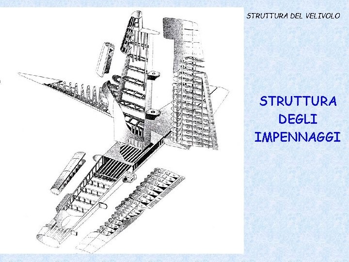 STRUTTURA DEL VELIVOLO STRUTTURA DEGLI IMPENNAGGI 