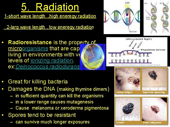 5. Radiation 1 -short wave length , high eneregy radiation 2 -larg wave length