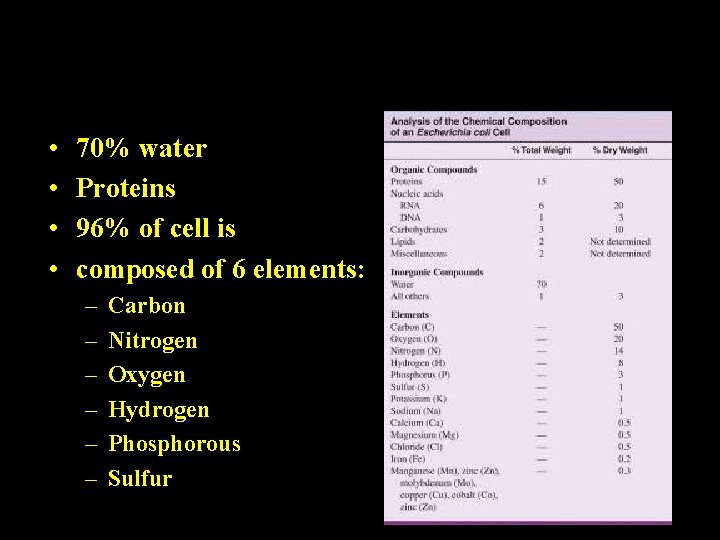 Chemical Composition of bacterial Cytoplasm • • 70% water Proteins 96% of cell is