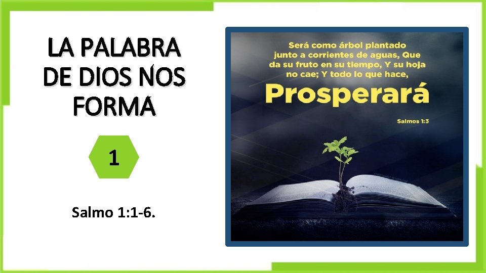 LA PALABRA DE DIOS NOS FORMA 1 Salmo 1: 1 -6. 