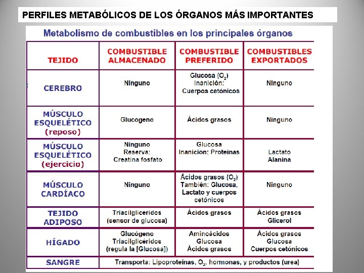 PERFILES METABÓLICOS DE LOS ÓRGANOS MÁS IMPORTANTES 