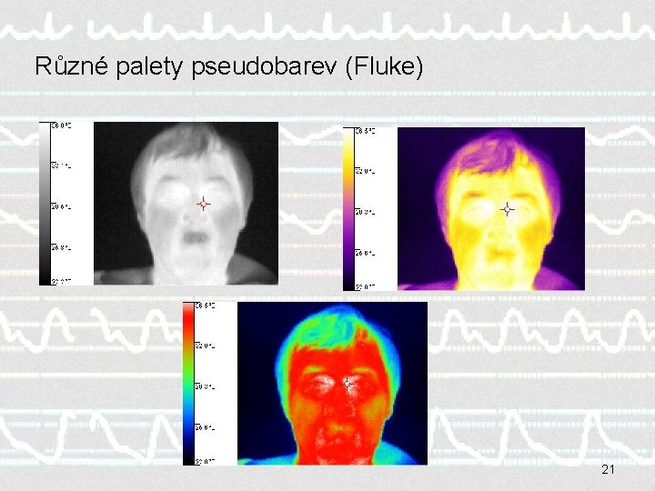 Různé palety pseudobarev (Fluke) 21 