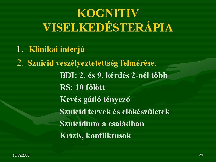 KOGNITIV VISELKEDÉSTERÁPIA 1. Klinikai interjú 2. Szuicid veszélyeztetettség felmérése: BDI: 2. és 9. kérdés