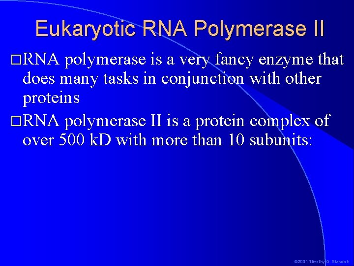 Eukaryotic RNA Polymerase II �RNA polymerase is a very fancy enzyme that does many