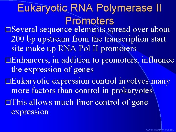 Eukaryotic RNA Polymerase II Promoters �Several sequence elements spread over about 200 bp upstream