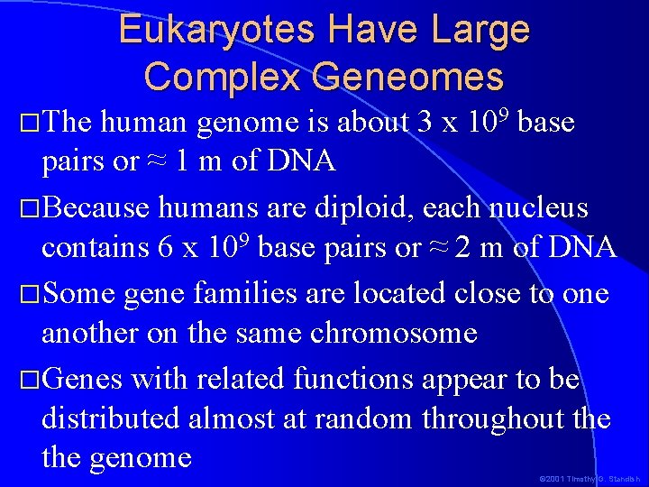 Eukaryotes Have Large Complex Geneomes �The human genome is about 3 x 109 base