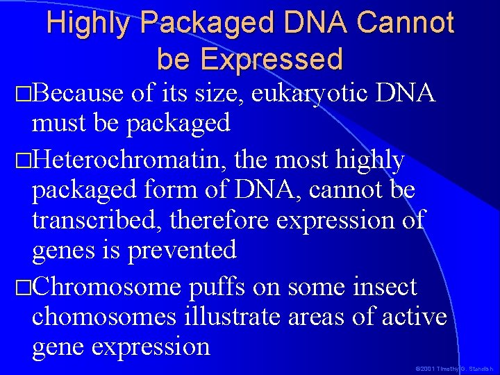 Highly Packaged DNA Cannot be Expressed �Because of its size, eukaryotic DNA must be
