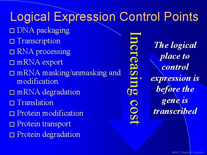 Logical Expression Control Points packaging � Transcription � RNA processing � m. RNA export