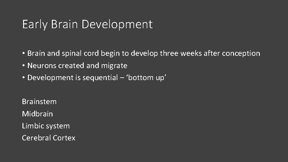 Early Brain Development • Brain and spinal cord begin to develop three weeks after