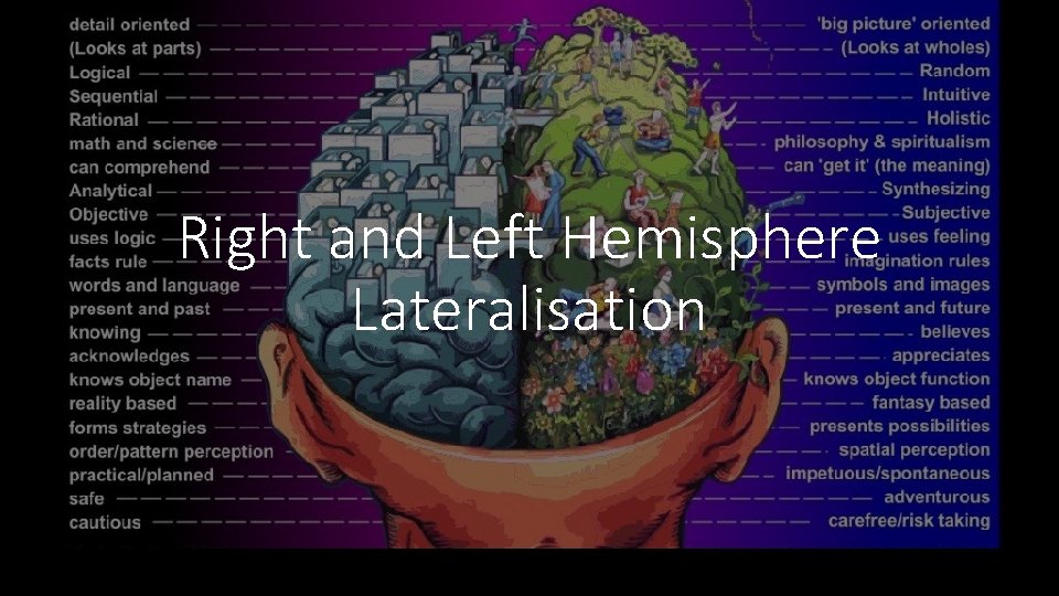 Right and Left Hemisphere Lateralisation 