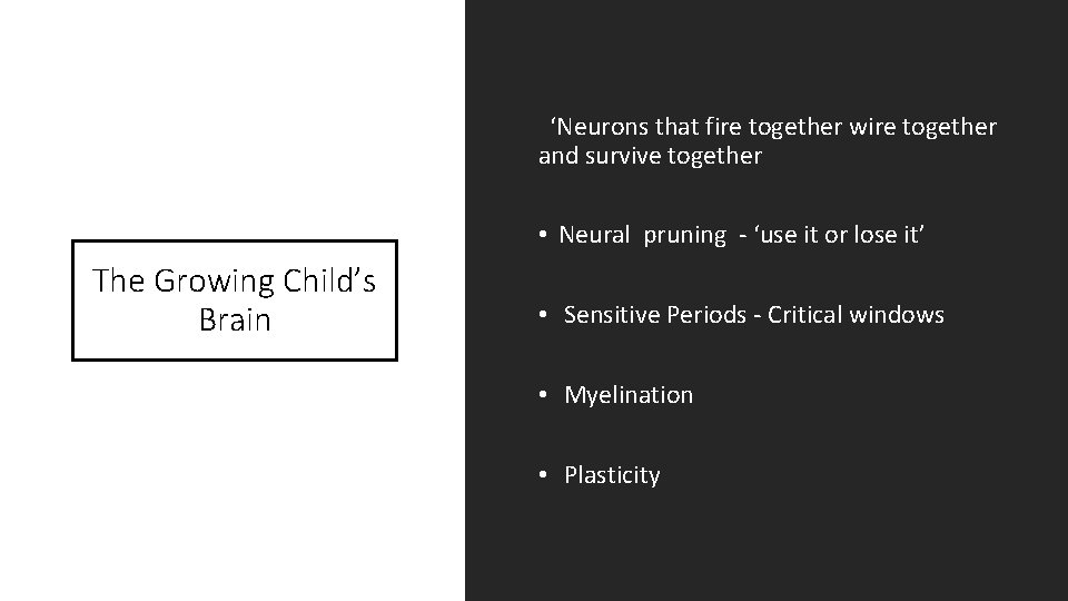  ‘Neurons that fire together wire together and survive together • Neural pruning -