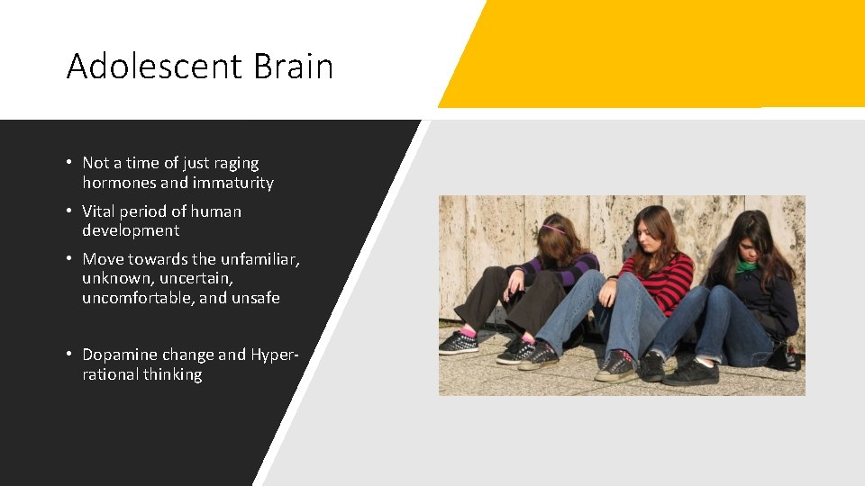 Adolescent Brain • Not a time of just raging hormones and immaturity • Vital