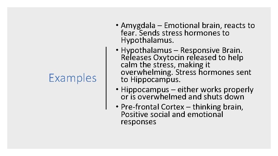 Examples • Amygdala – Emotional brain, reacts to fear. Sends stress hormones to Hypothalamus.