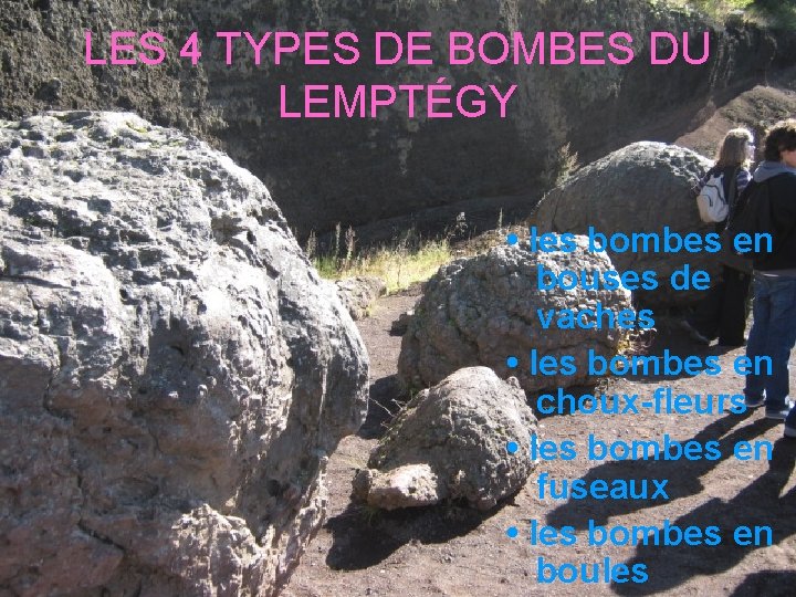 LES 4 TYPES DE BOMBES DU LEMPTÉGY • les bombes en bouses de vaches