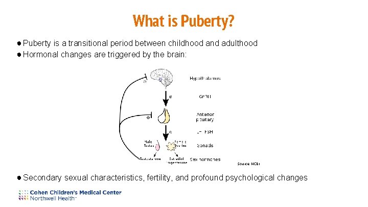 What is Puberty? ● Puberty is a transitional period between childhood and adulthood ●