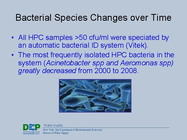 Bacterial Species Changes over Time • All HPC samples >50 cfu/ml were speciated by