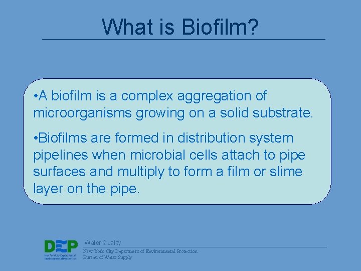 What is Biofilm? • A biofilm is a complex aggregation of microorganisms growing on