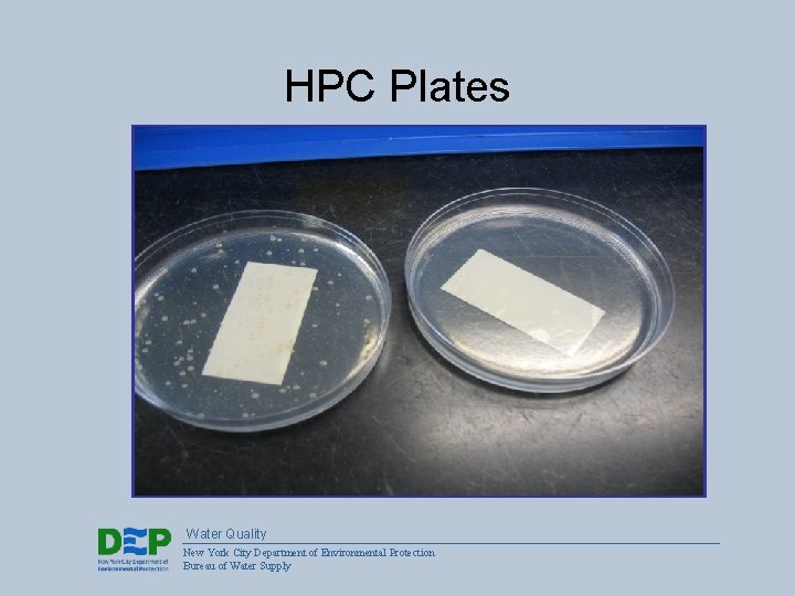 HPC Plates Water Quality New York City Department of Environmental Protection Bureau of Water