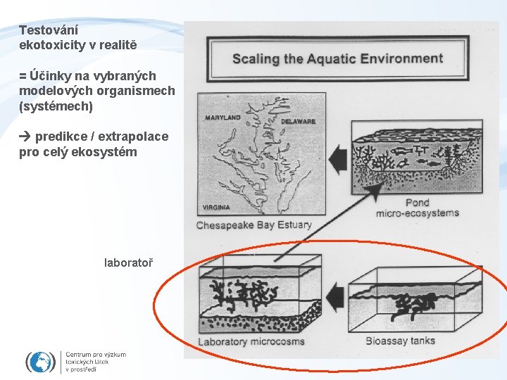 Testování ekotoxicity v realitě = Účinky na vybraných modelových organismech (systémech) predikce / extrapolace