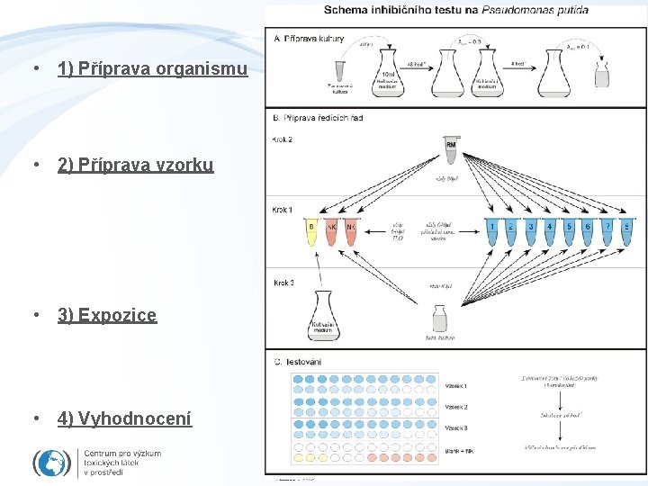  • 1) Příprava organismu • 2) Příprava vzorku • 3) Expozice • 4)