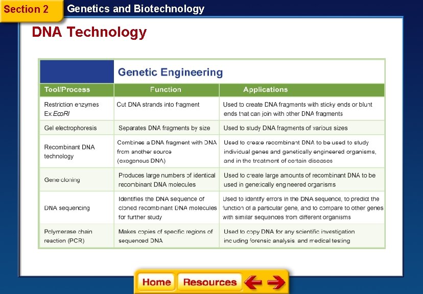 Section 2 Genetics and Biotechnology DNA Technology 