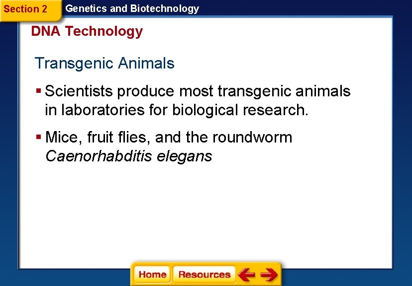 Section 2 Genetics and Biotechnology DNA Technology Transgenic Animals § Scientists produce most transgenic
