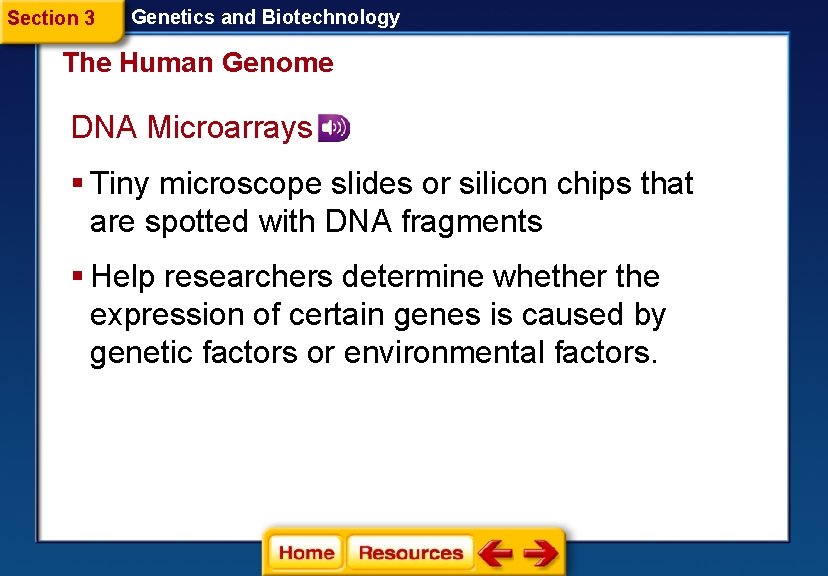 Section 3 Genetics and Biotechnology The Human Genome DNA Microarrays § Tiny microscope slides