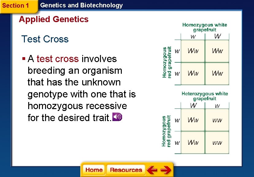 Section 1 Genetics and Biotechnology Applied Genetics Test Cross § A test cross involves