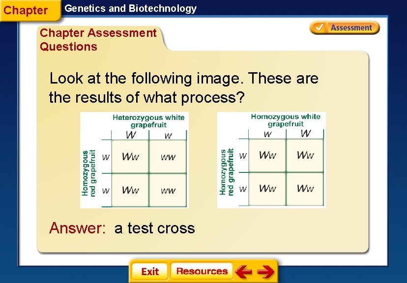 Chapter Genetics and Biotechnology Chapter Assessment Questions Look at the following image. These are