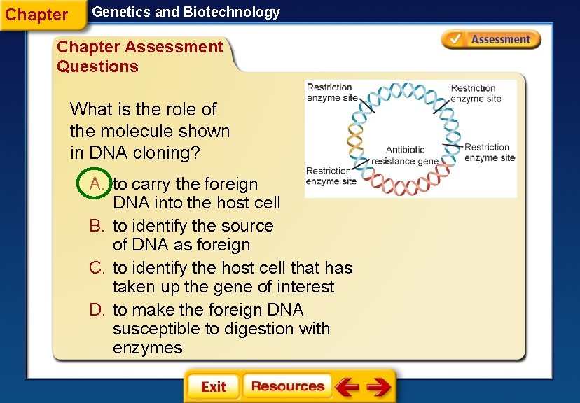 Chapter Genetics and Biotechnology Chapter Assessment Questions What is the role of the molecule