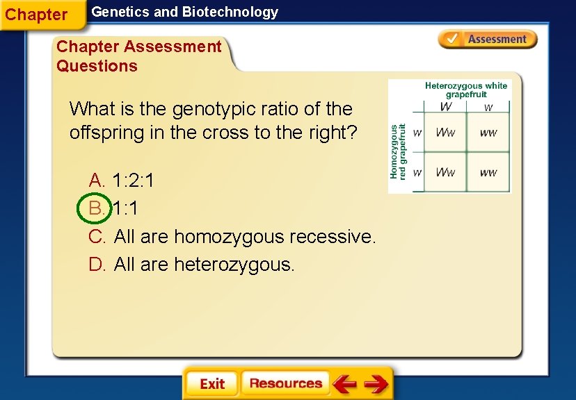Chapter Genetics and Biotechnology Chapter Assessment Questions What is the genotypic ratio of the