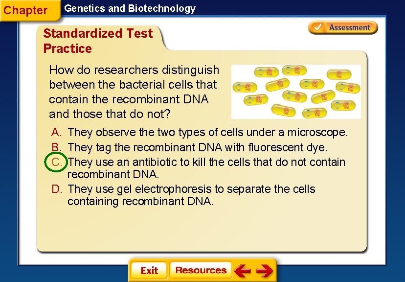 Chapter Genetics and Biotechnology Standardized Test Practice How do researchers distinguish between the bacterial