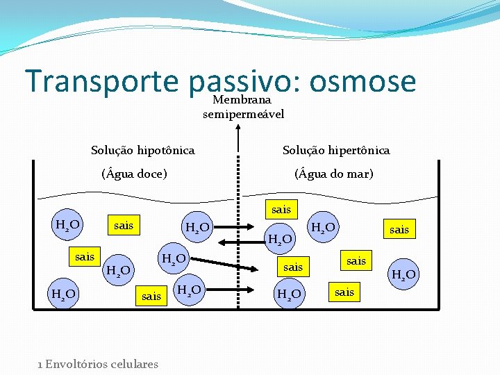 Transporte passivo: osmose Membrana semipermeável Solução hipotônica Solução hipertônica (Água doce) (Água do mar)