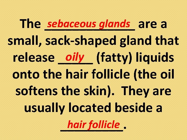 sebaceous glands are a The _______ small, sack-shaped gland that oily (fatty) liquids release