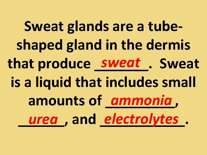 Sweat glands are a tubeshaped gland in the dermis sweat Sweat that produce _______.