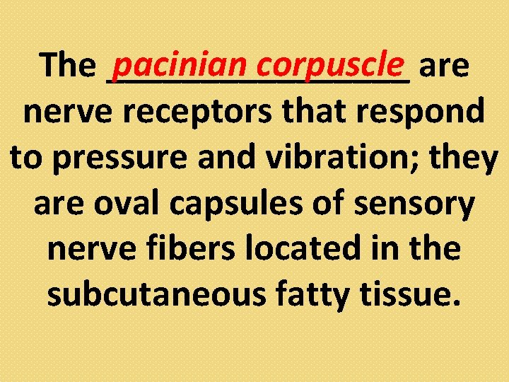 pacinian corpuscle are The ________ nerve receptors that respond to pressure and vibration; they