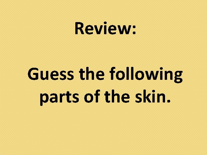Review: Guess the following parts of the skin. 