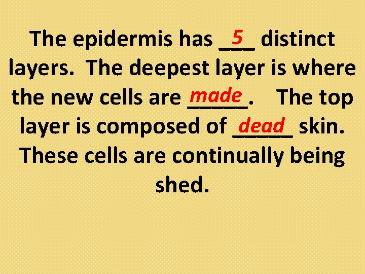 5 distinct The epidermis has ___ layers. The deepest layer is where made the