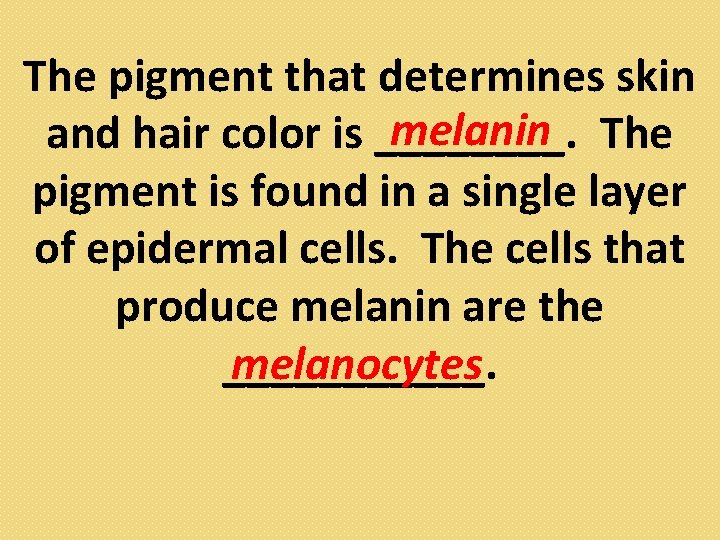 The pigment that determines skin melanin The and hair color is ____. pigment is