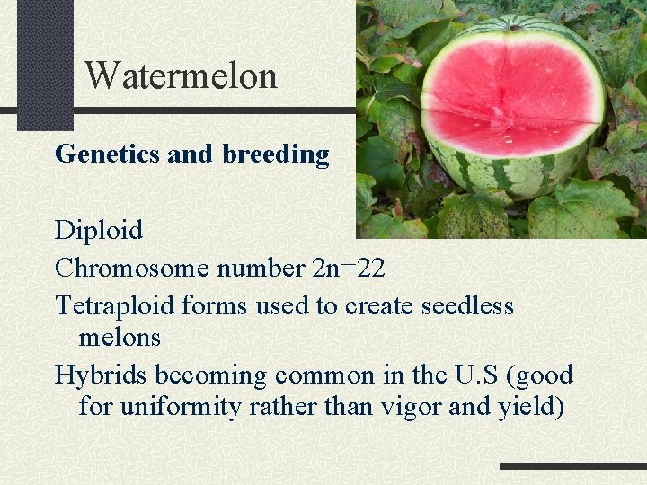 Watermelon Genetics and breeding Diploid Chromosome number 2 n=22 Tetraploid forms used to create