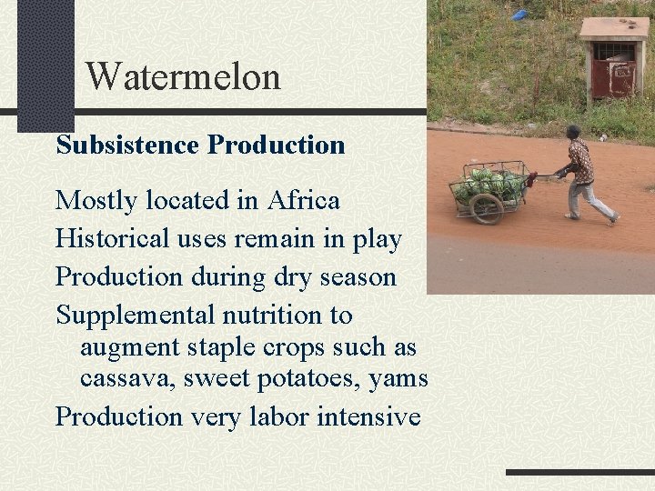 Watermelon Subsistence Production Mostly located in Africa Historical uses remain in play Production during