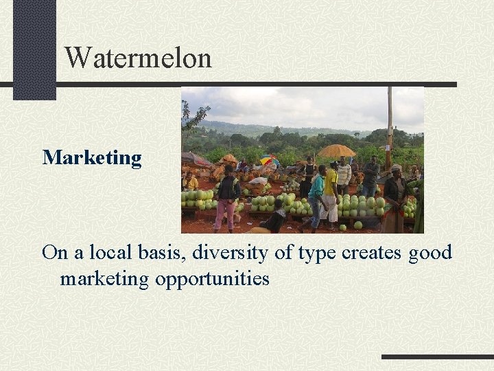 Watermelon Marketing On a local basis, diversity of type creates good marketing opportunities 