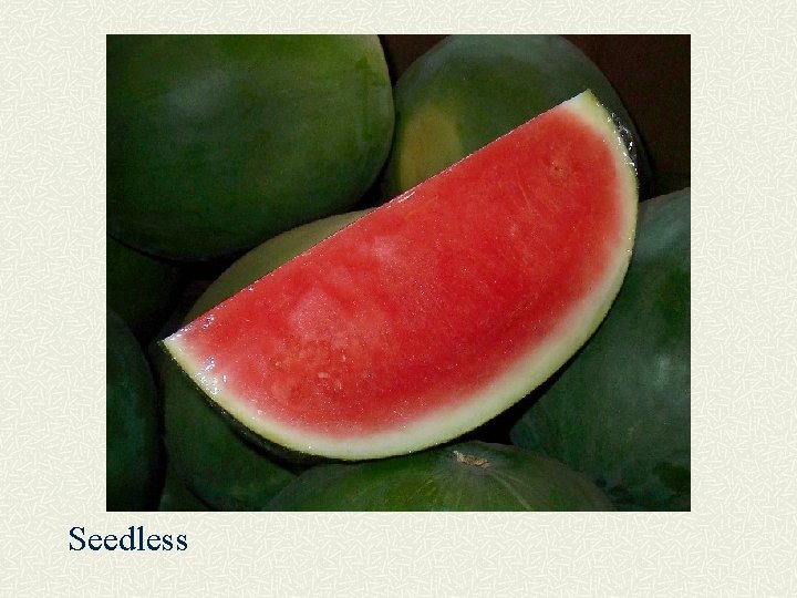 Seedless 