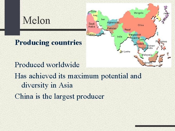 Melon Producing countries Produced worldwide Has achieved its maximum potential and diversity in Asia