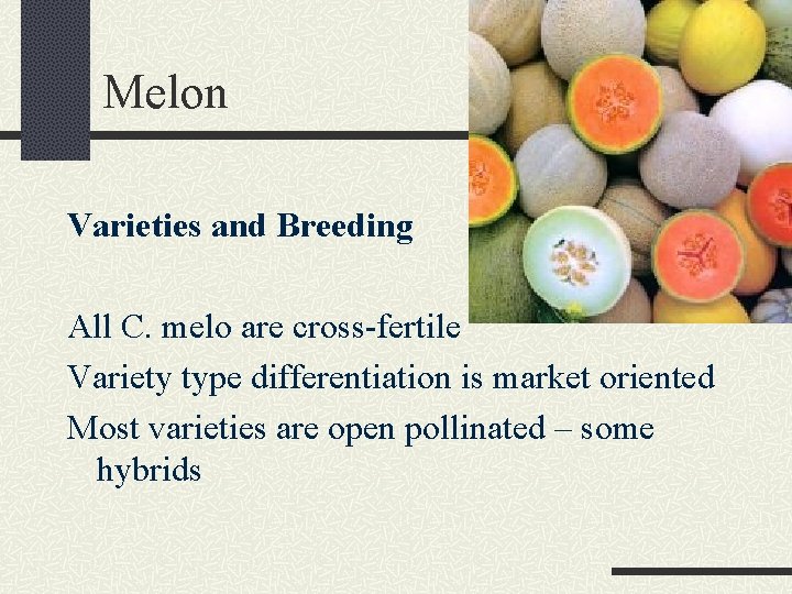 Melon Varieties and Breeding All C. melo are cross-fertile Variety type differentiation is market
