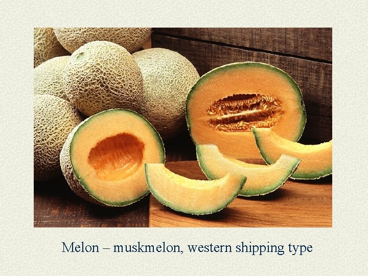 Melon – muskmelon, western shipping type 