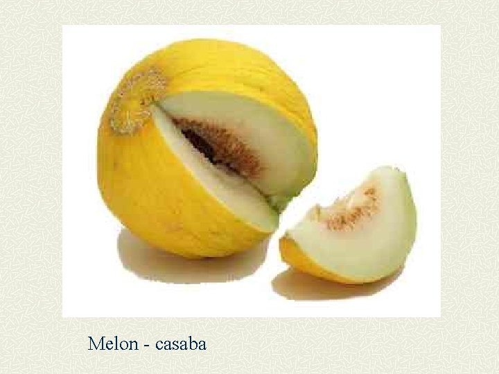 Melon - casaba 