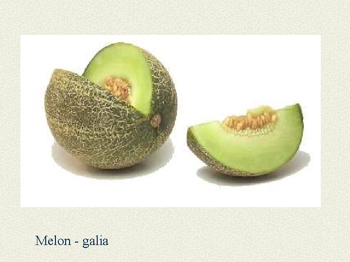 Melon - galia 