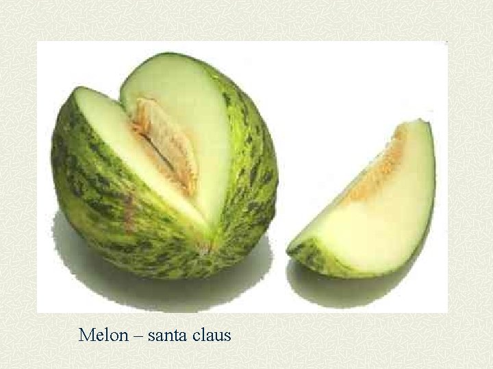 Melon – santa claus 