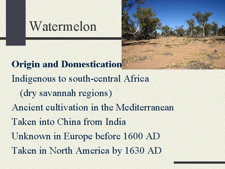 Watermelon Origin and Domestication Indigenous to south-central Africa (dry savannah regions) Ancient cultivation in